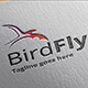 Bird Fly Logo Template