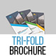 Corporate Tri-Fold Brochure Template 01