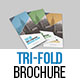 Corporate Tri-Fold Brochure Template 03