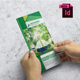 Trifold Brochure