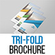 Corporate Tri-Fold Brochure