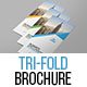 Corporate Tri-Fold Brochure
