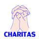 Charitas - PayPal Donation WordPress Plugin