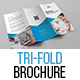 Tri-Fold Brochure