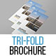Corporate Tri-Fold Brochure