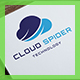 Cloud Spider Logo