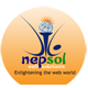 nepsol