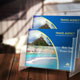 Travel Brochure