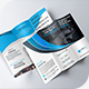 Trifold Brochure
