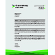 Letterhead Template
