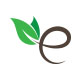 E Letter Eco Logo
