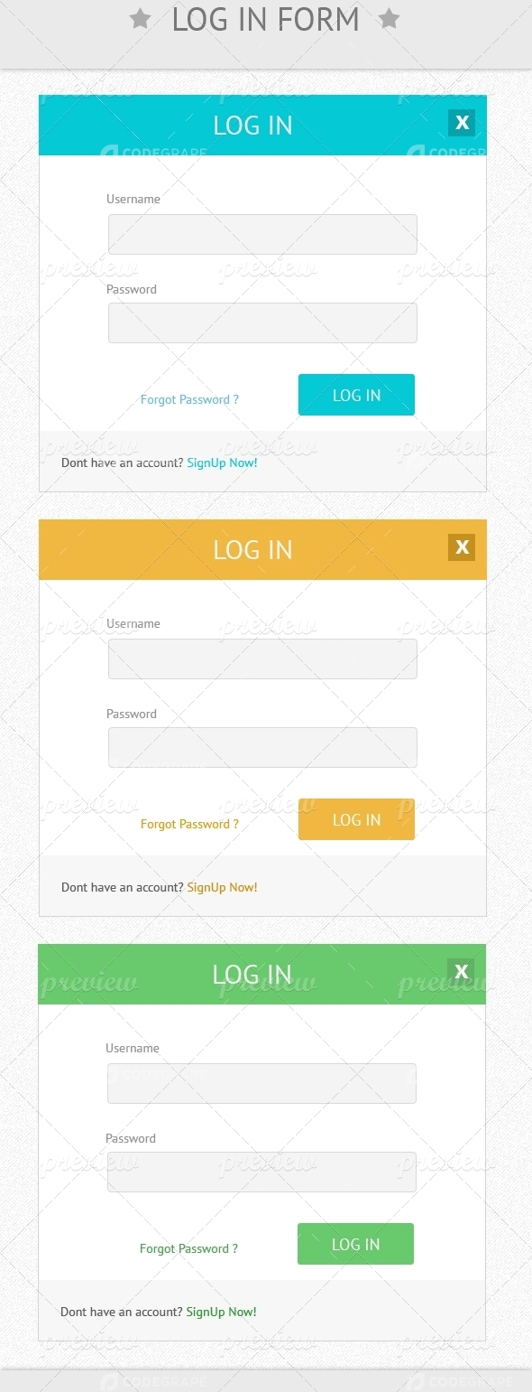 Login Form
