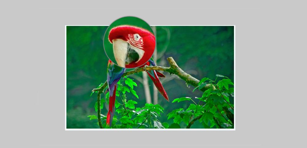 Simple Image Magnifier using JavaScript & CSS