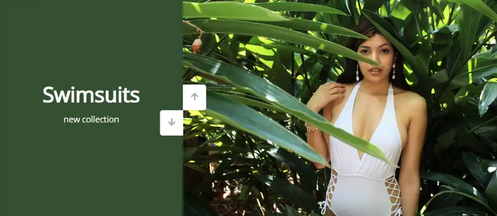 Double Vertical Slider with HTML CSS & JavaScript