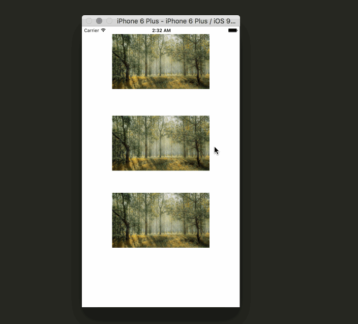 Single image view
