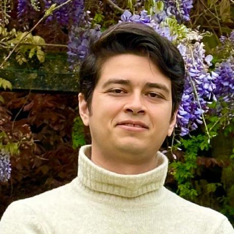 Amin Gholizad's profile picture