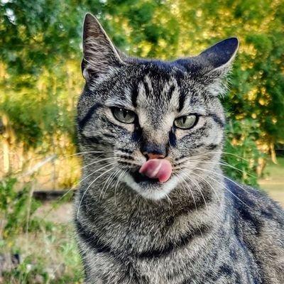 User avatar: Bensuperpc