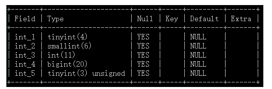 field-type-null-key