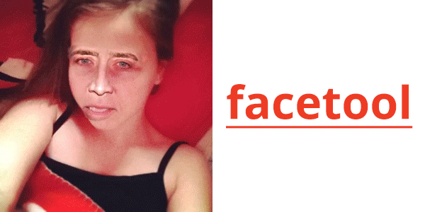 Facetool header logo