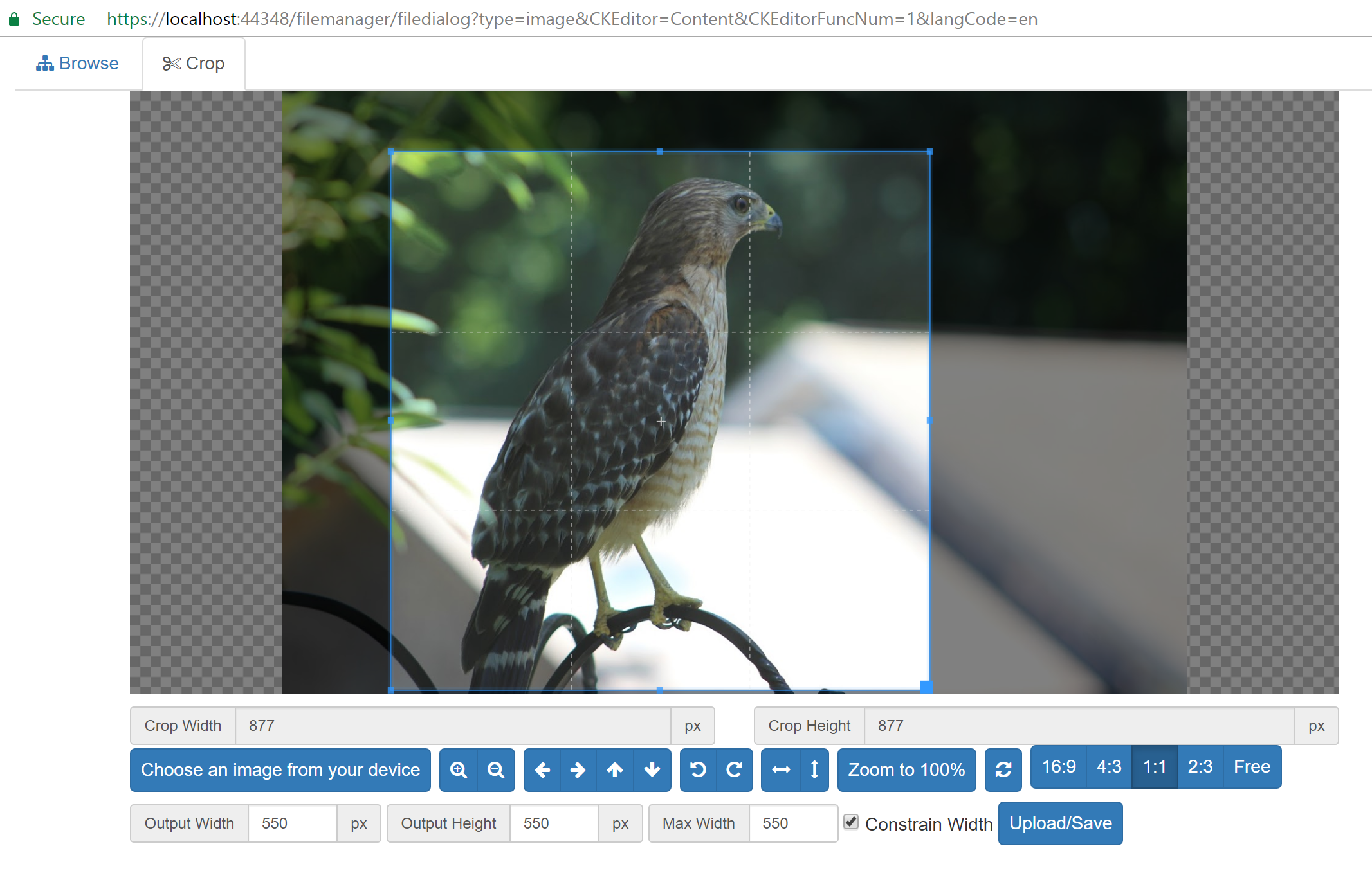 image cropper Screen shot