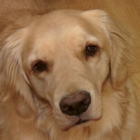 Matt Fisher, Scientific Software Developer, UC Berkeley Eric and Wendy Schmidt Center for Data Science and Environment