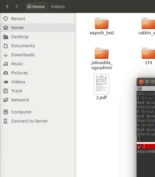 Free fall Inverted Pendulum