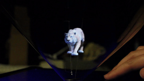 Tiger with Pepper's Cone