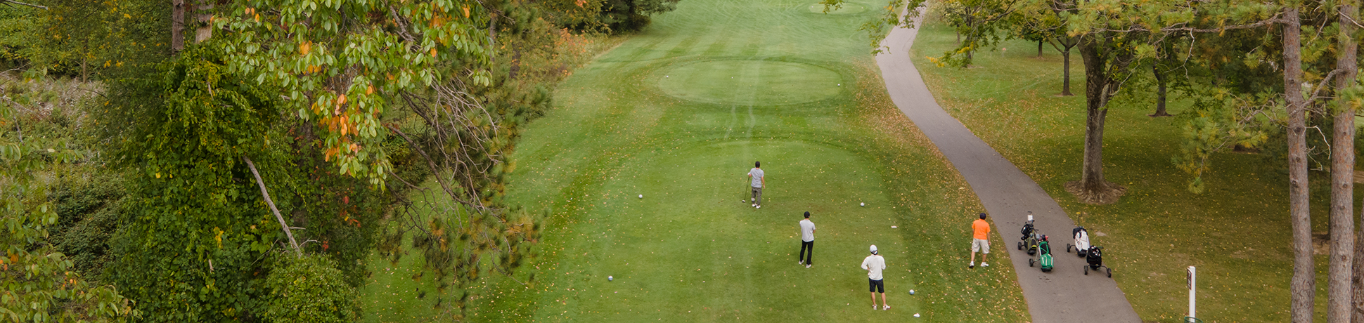 view of golfers on course