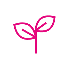Branch with leaves icon - pink