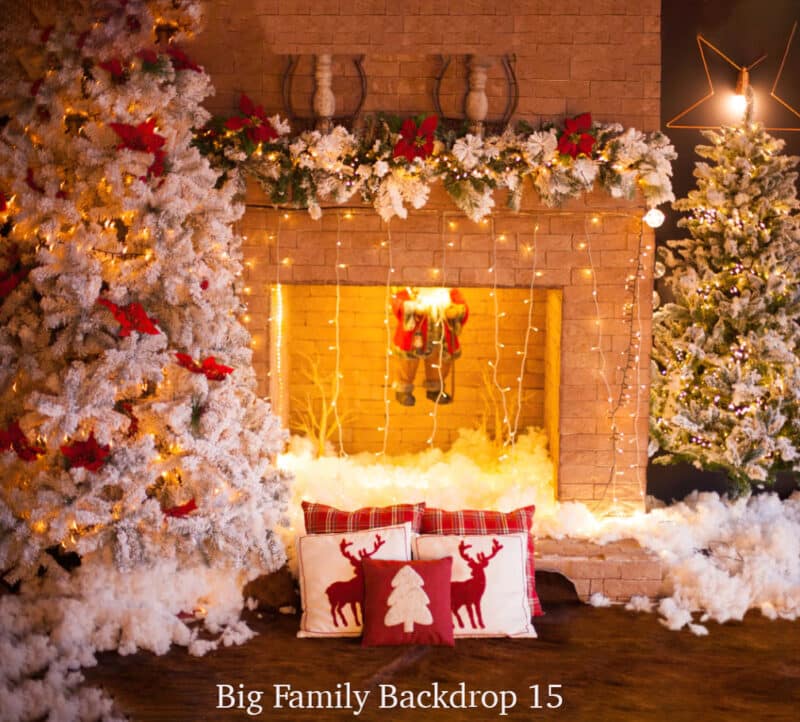 Family Christmas 15 family backdrop 15
