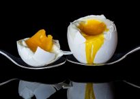 egg-2161877_960_720