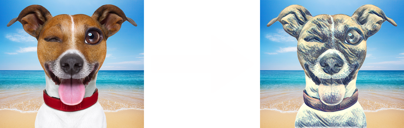 Automatic Face Cartoon Effect