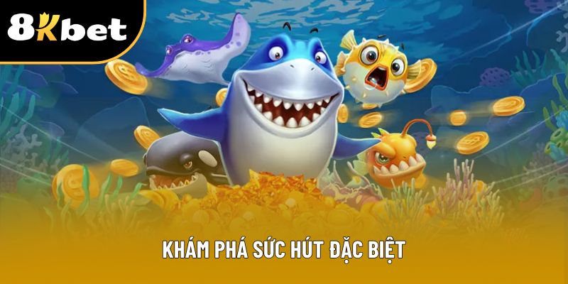 Khám phá sức hút đặc biệt Khám phá sức hút đặc biệt