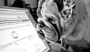 WordPress Security Plugins