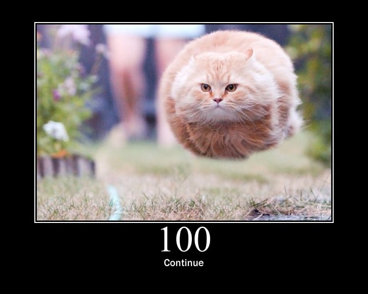 HTTP Status Cat 100