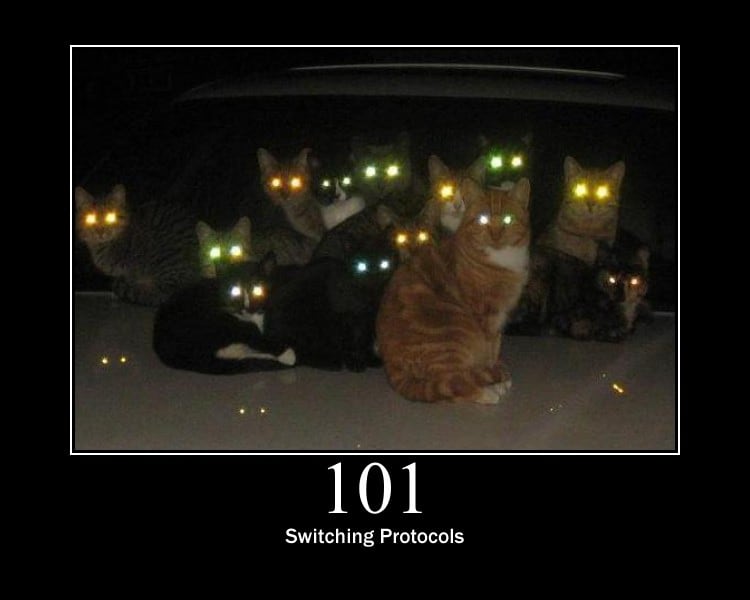 HTTP Status Cat 101