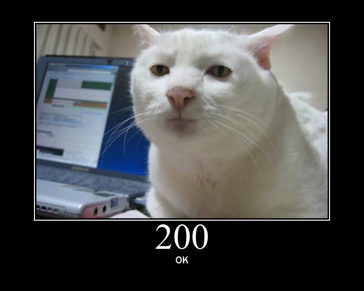 HTTP Status Cat 200