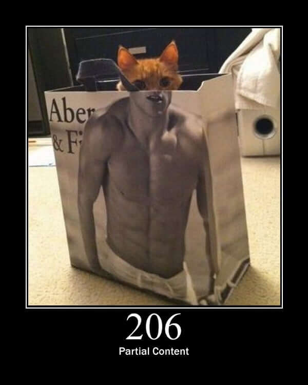 HTTP Status Cat 206