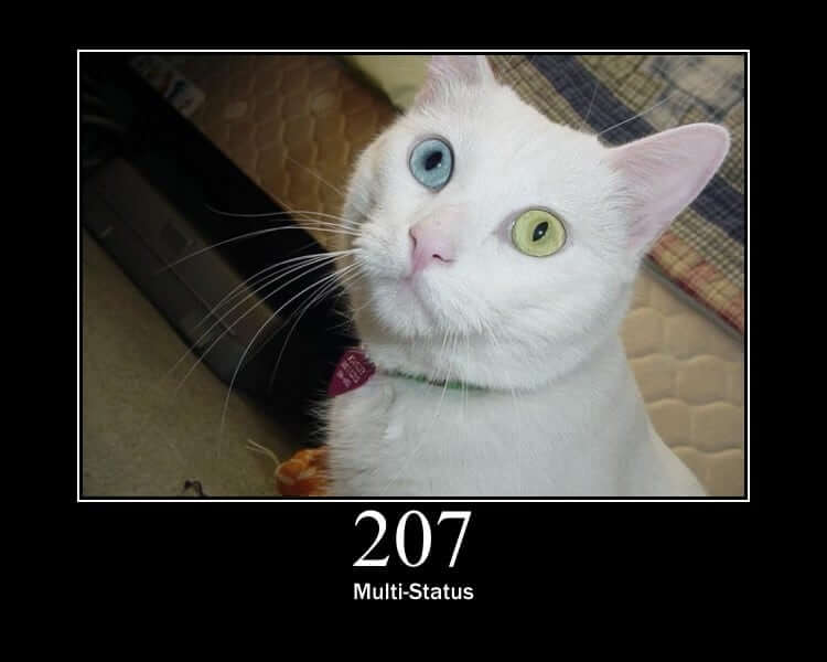 HTTP Status Cat 207