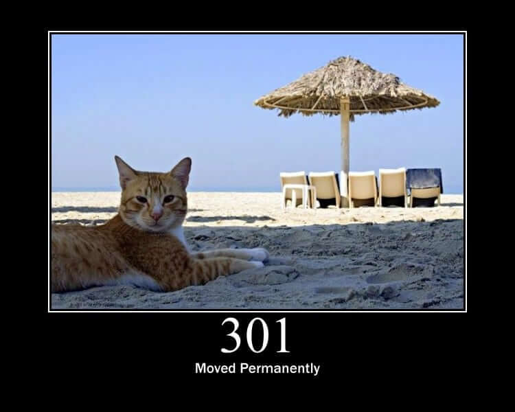 HTTP Status Cat 301