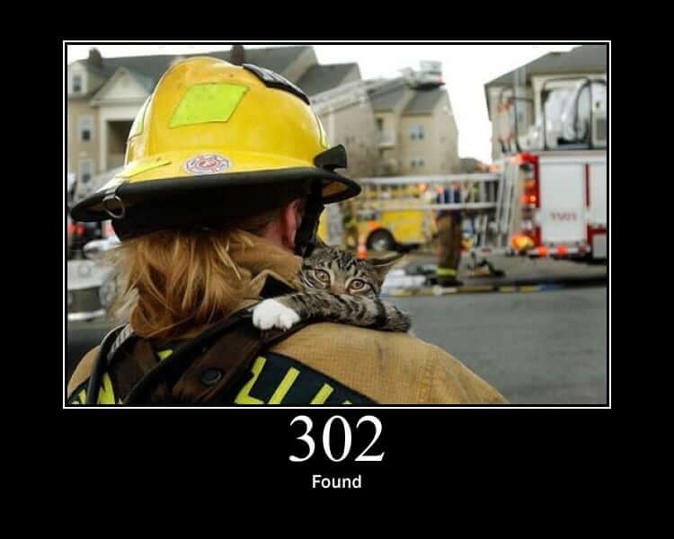 HTTP Status Cat 302