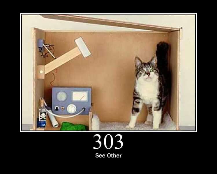 HTTP Status Cat 303
