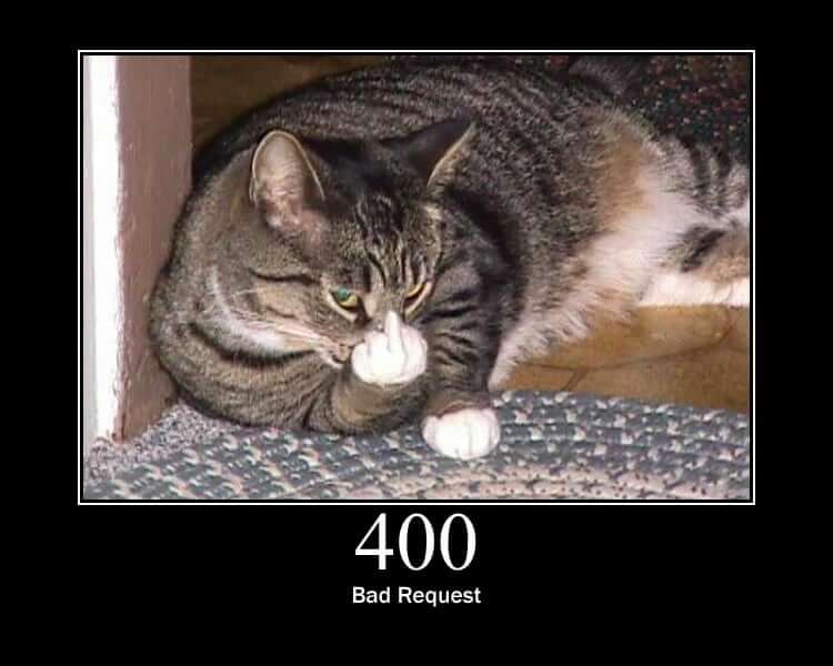 HTTP Status Cat 400