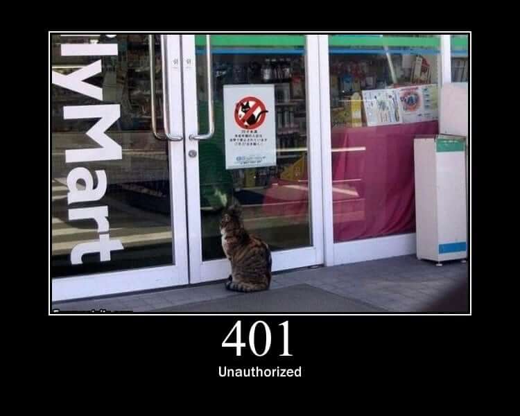 HTTP Status Cat 401