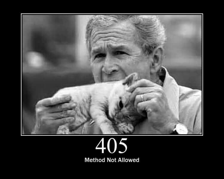 HTTP Status Cat 405
