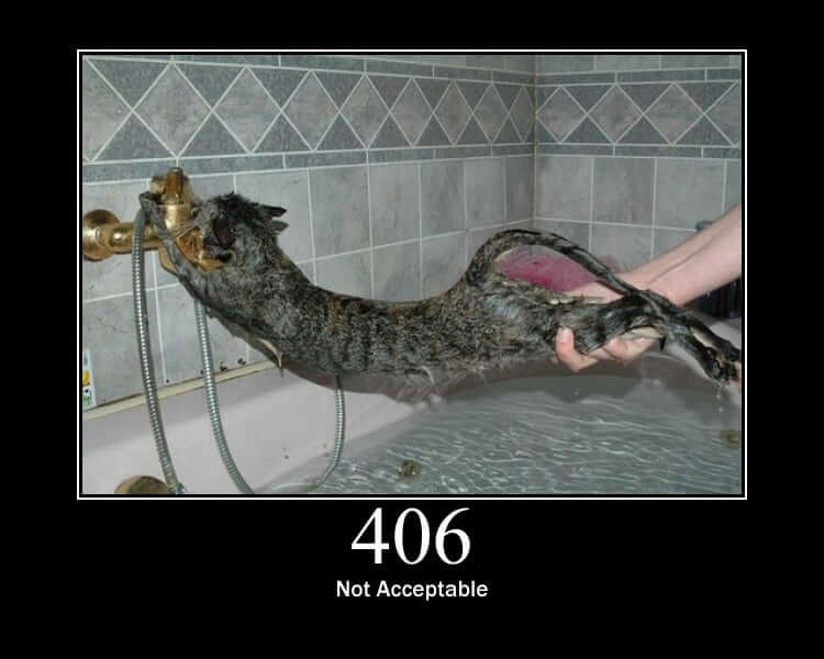 HTTP Status Cat 406