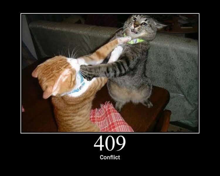 HTTP Status Cat 409