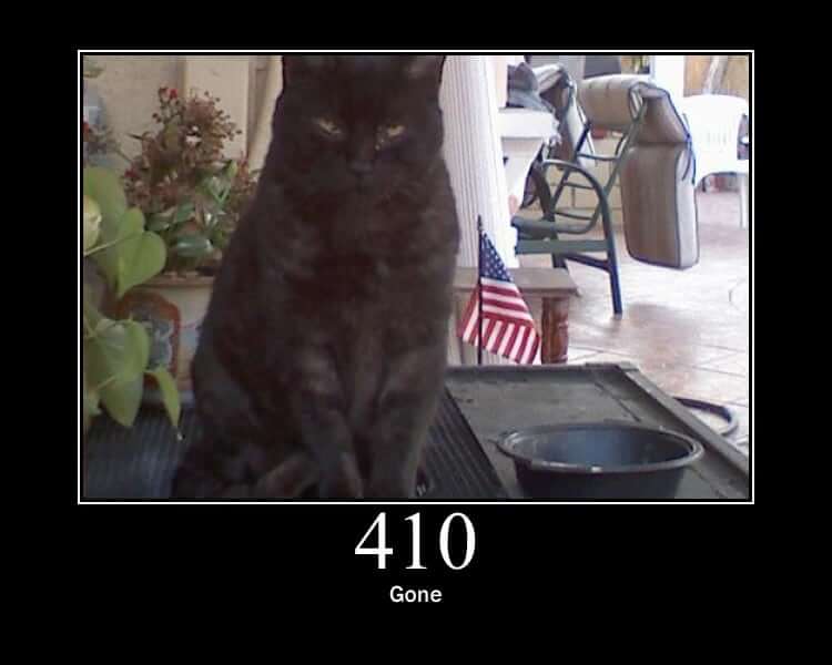 HTTP Status Cat 410