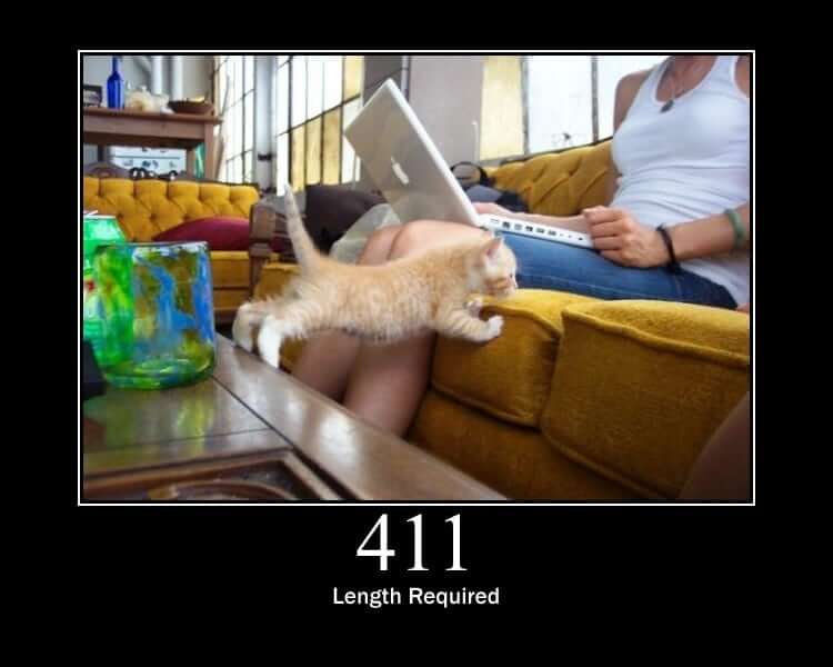 HTTP Status Cat 411