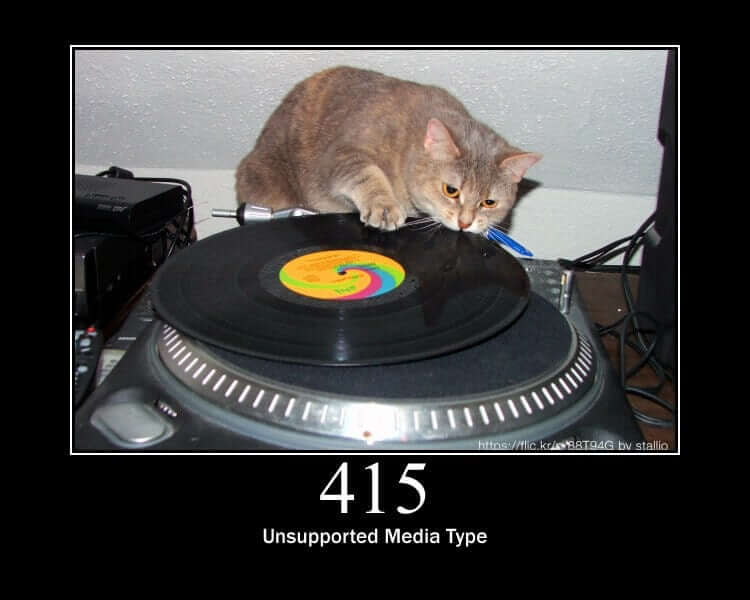 HTTP Status Cat 415